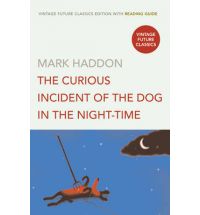 The Curious Incident of the Dog in the Night time List: young adult books about disability