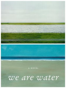 Recently Updated1 225x300 Cover designs inspired by art: Wally Lambs We Are Water and Rhein II by Andreas Gursky